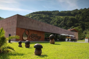 Hotels in Elgorriaga